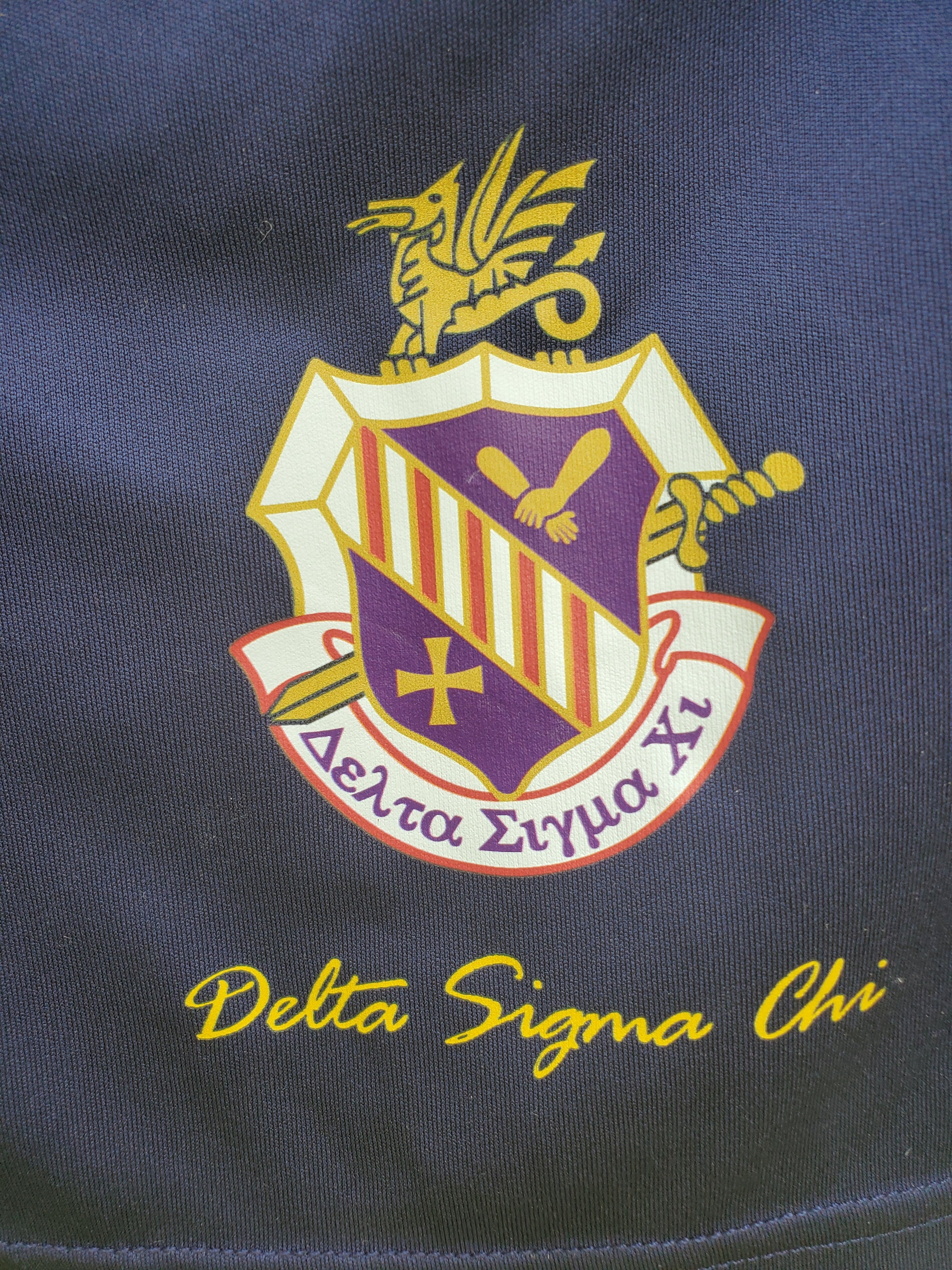 Delt Shorts with printed crest