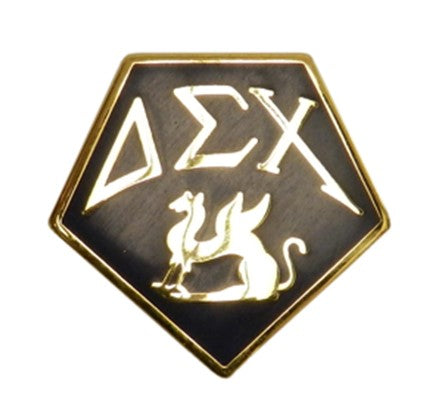 DSC 'Member Pin'